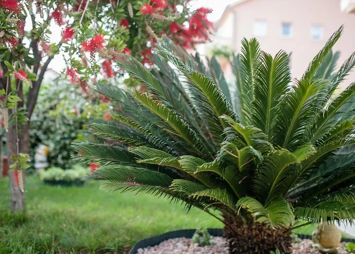 Apartmani Marica Beg Palit