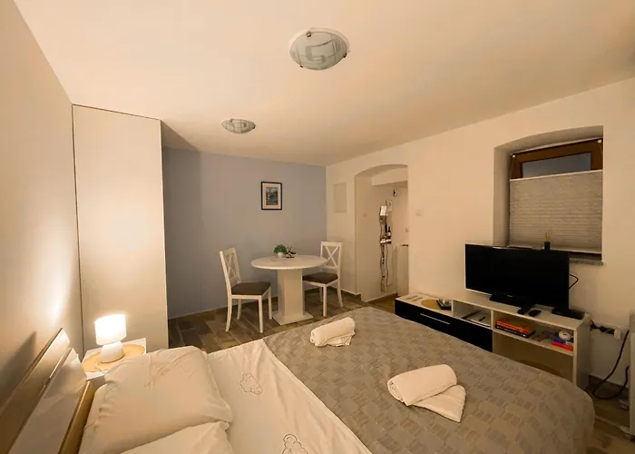 Pet friendly Studio Ricardo, Opatija