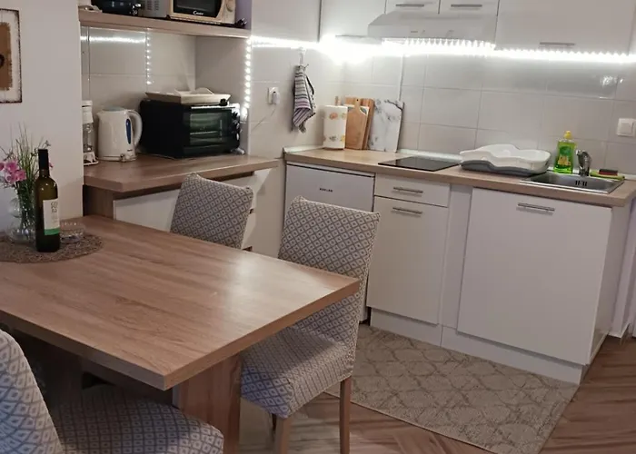 Pet friendly Studio Luna Opatija