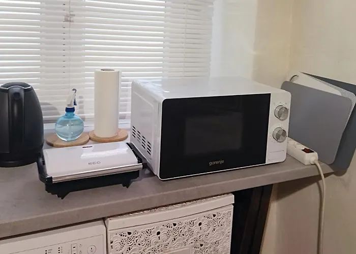 Apartment Platana Rijeka