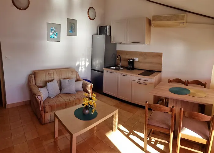 Pet friendly Villa Suzana Supetarska Draga